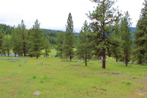 Media Image 3