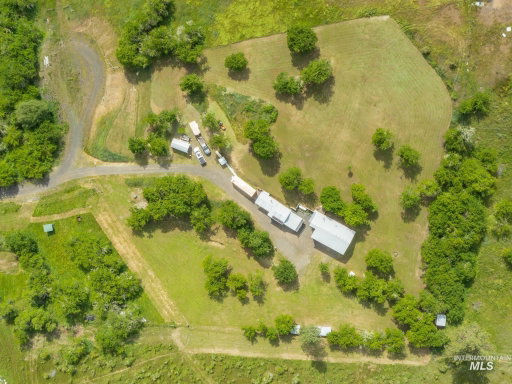 Media Image 3