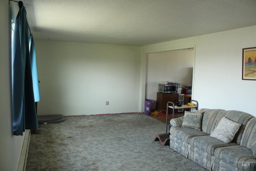 Media Image 3