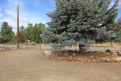 Media Image 3
