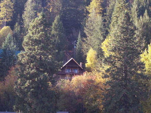 Media Image 2