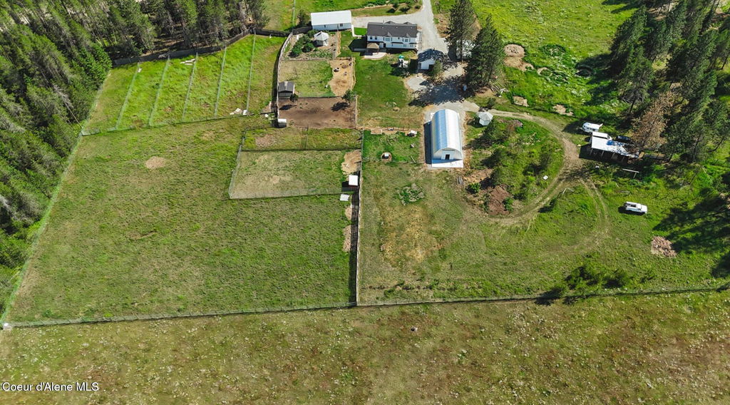 Media Image 1