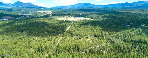 Media Image 3