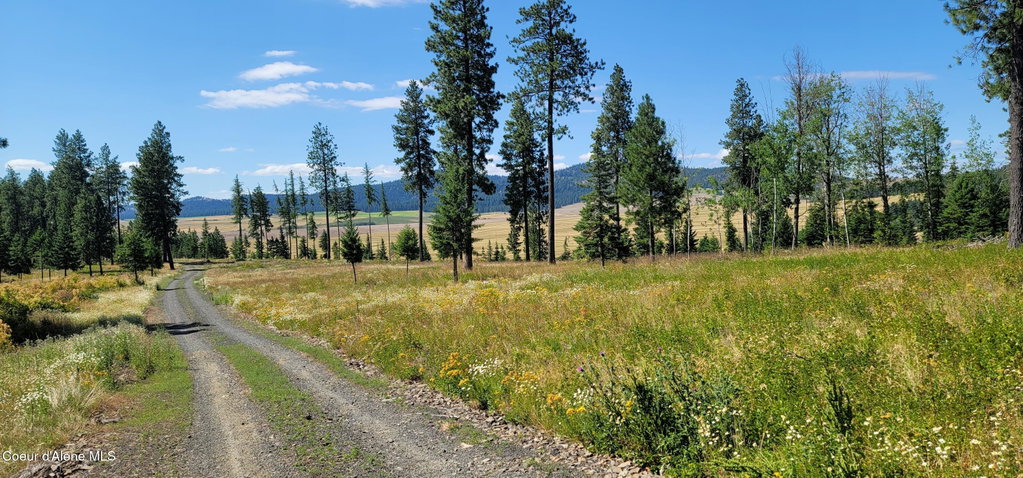 Image Unavailable
