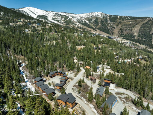 Media Image 2