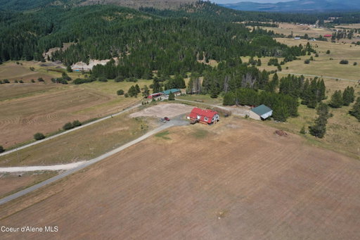 Media Image 3