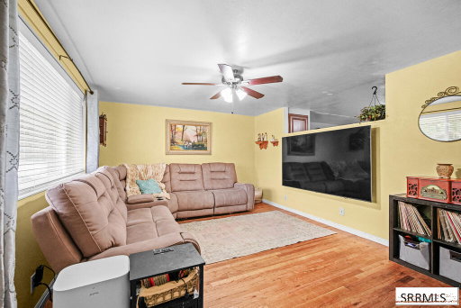 Media Image 2