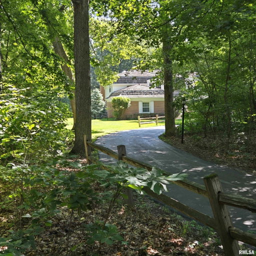 Media Image 3