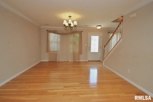 Media Image 3