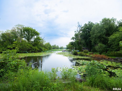 Media Image 2