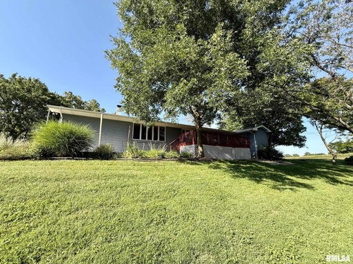 Media Image 2