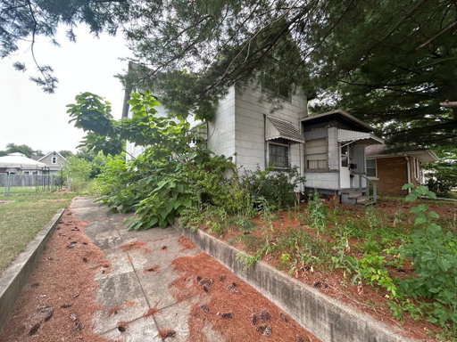 Media Image 3