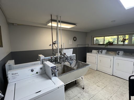 Media Image 2