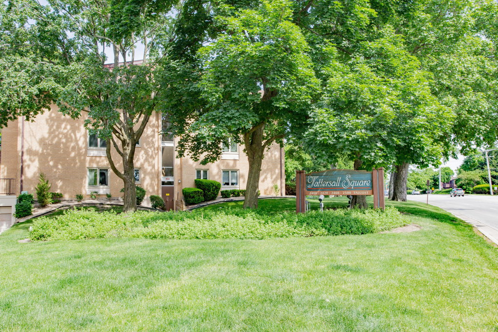 Media Image 1