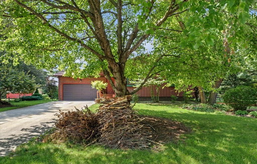 Media Image 3