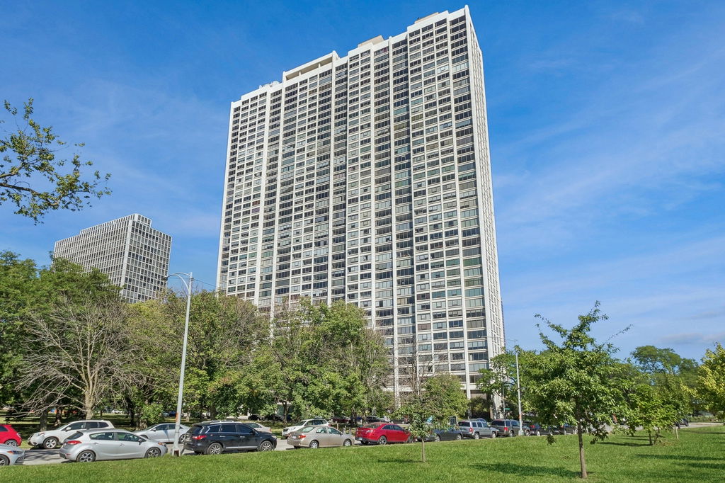 Media Image 1