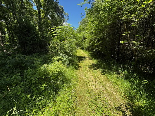 Media Image 2