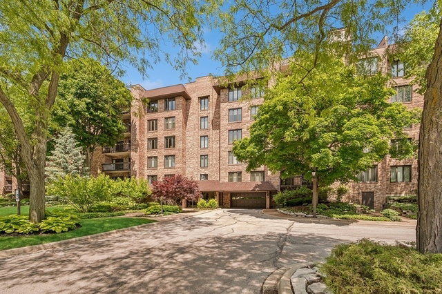 Media Image 1