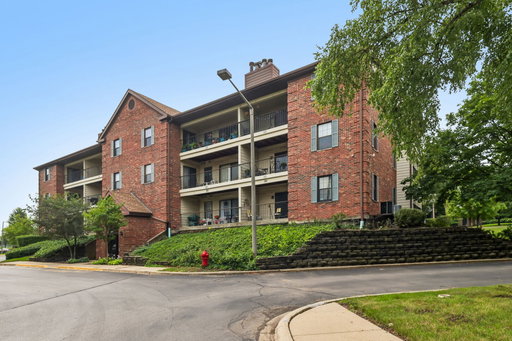 Media Image 2