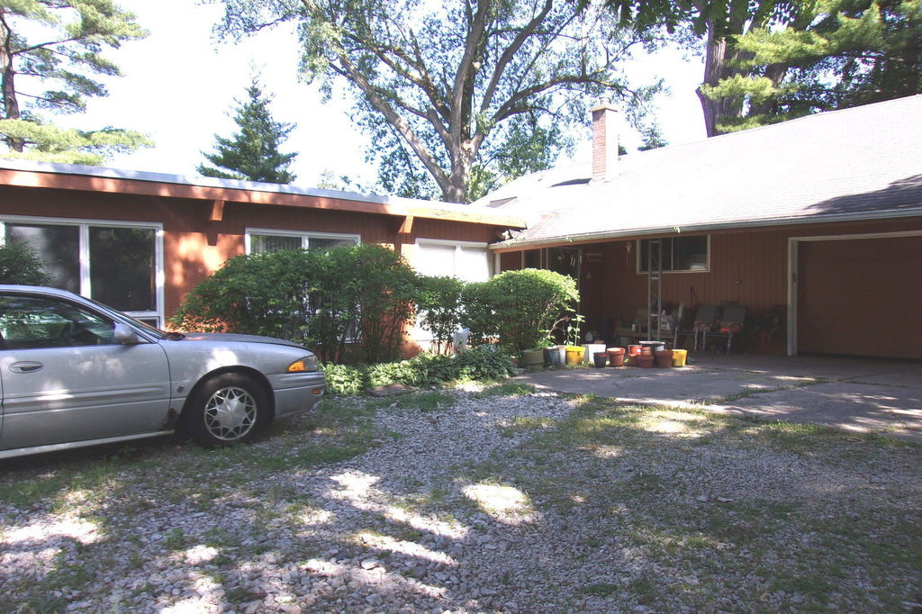 Media Image 1