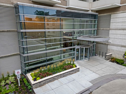 Media Image 2