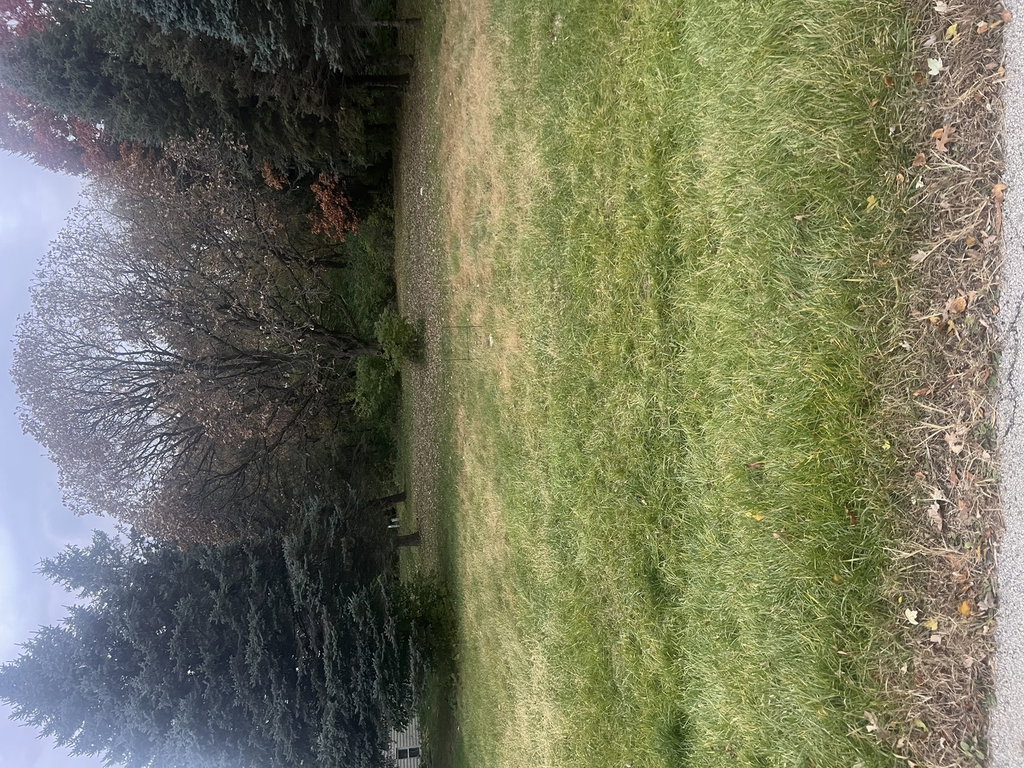 Image Unavailable
