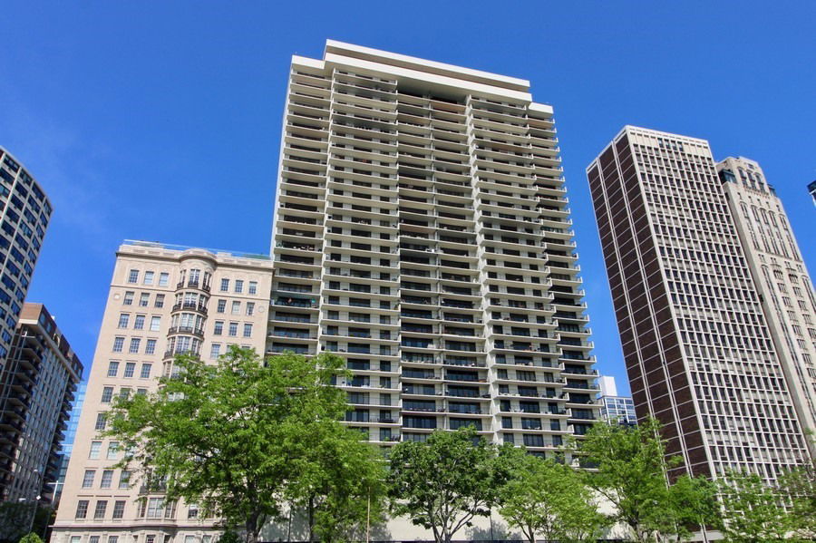 Media Image 1