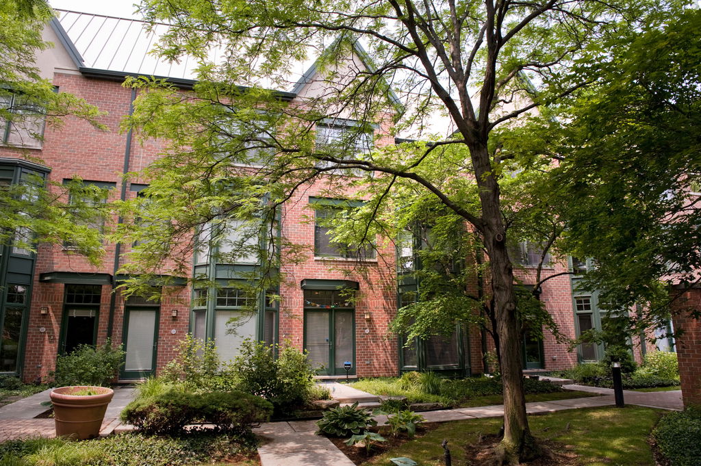 Media Image 1