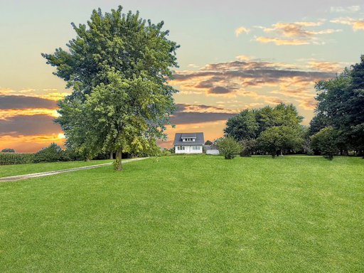 Media Image 3