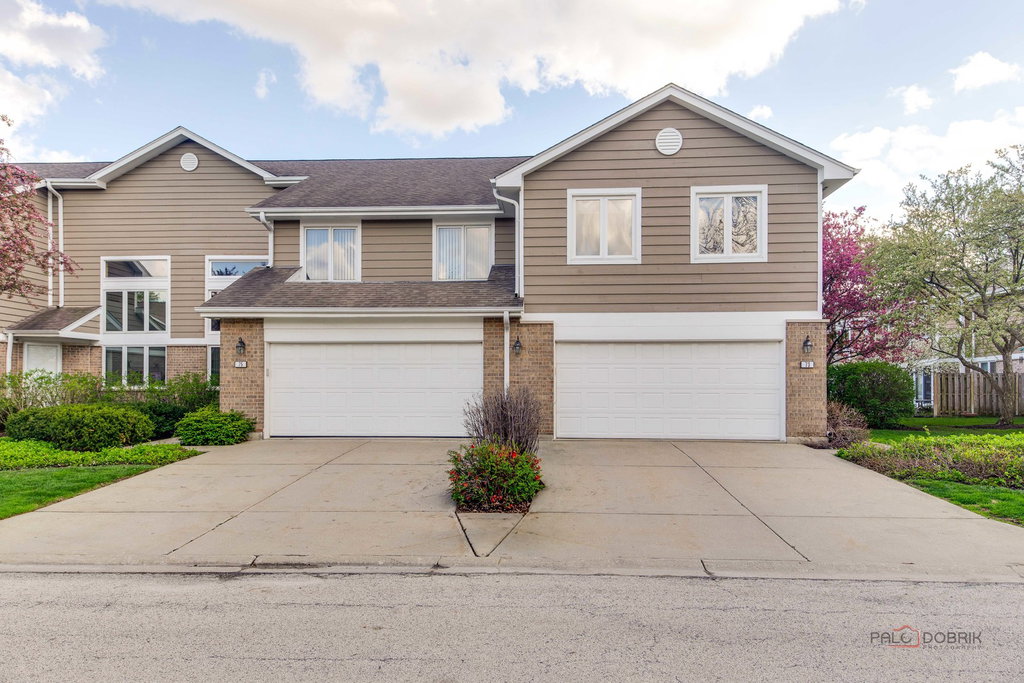 Media Image 1