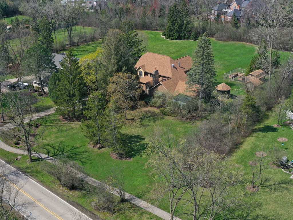 Media Image 1