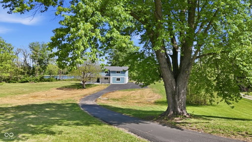 Media Image 3