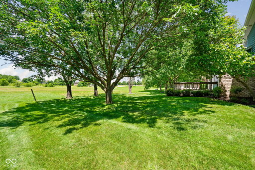 Media Image 3