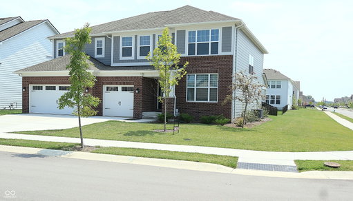 Media Image 3