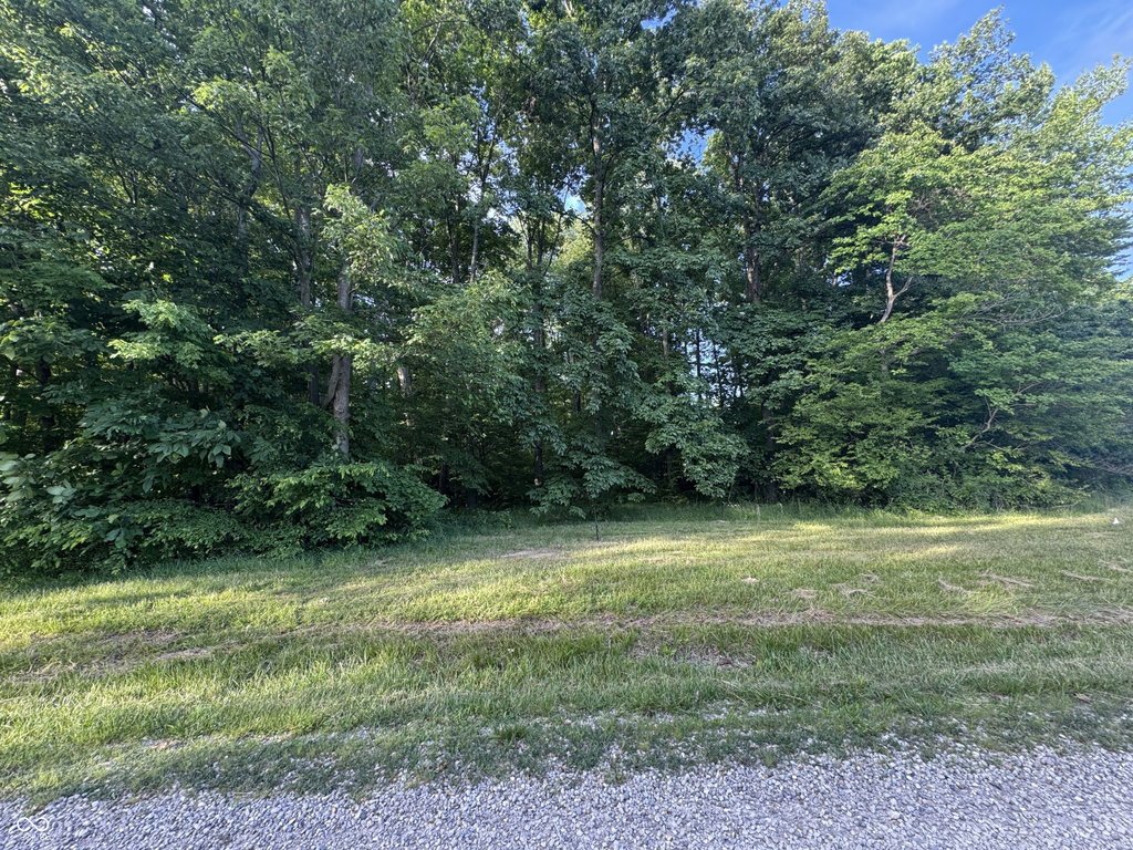 Image Unavailable