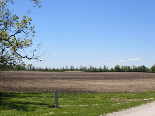 Media Image 2