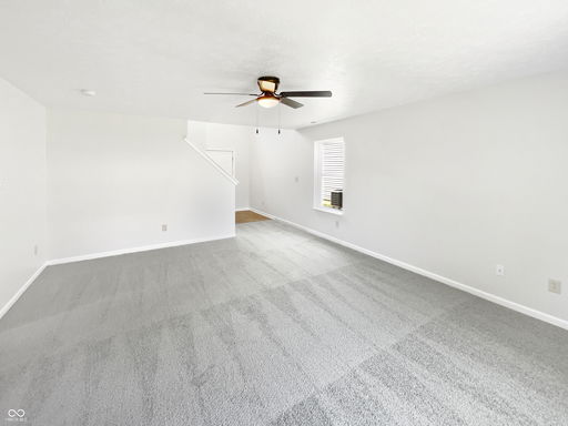 Media Image 3