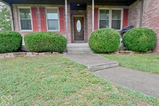 Media Image 3