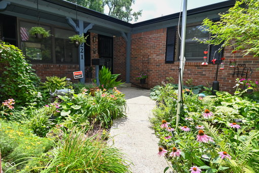 Media Image 2