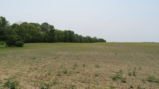 Media Image 3
