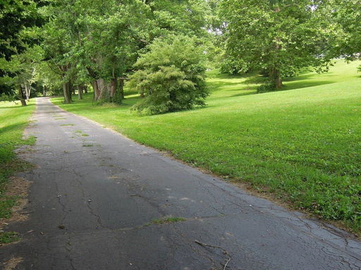 Media Image 2