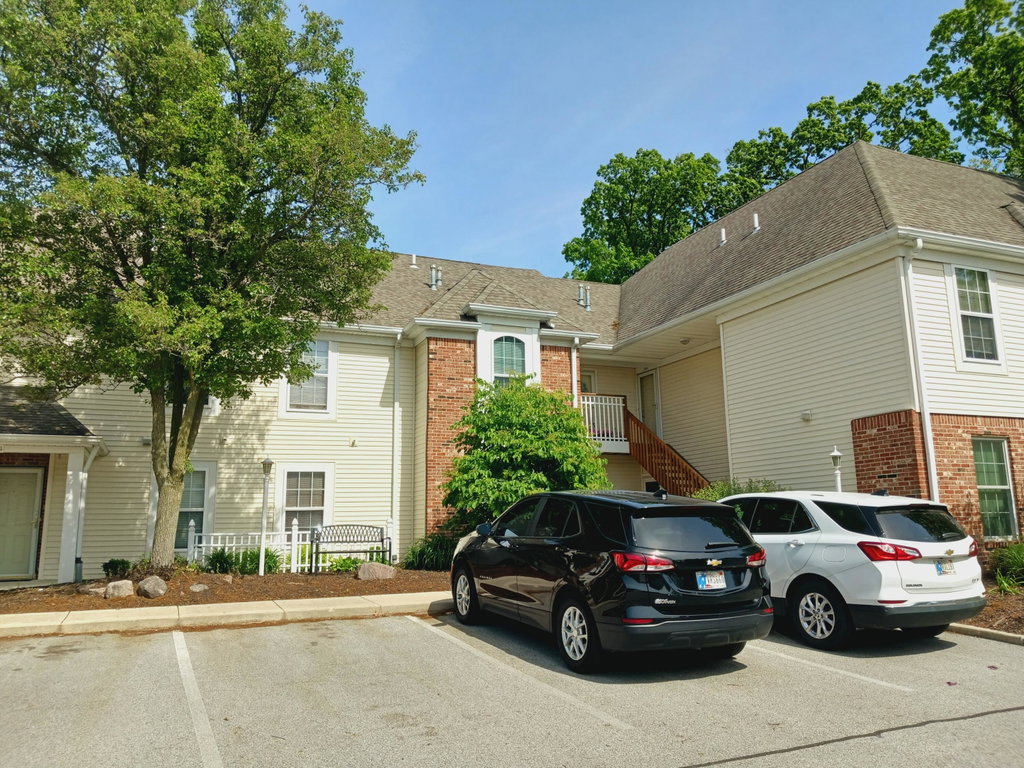 Media Image 1