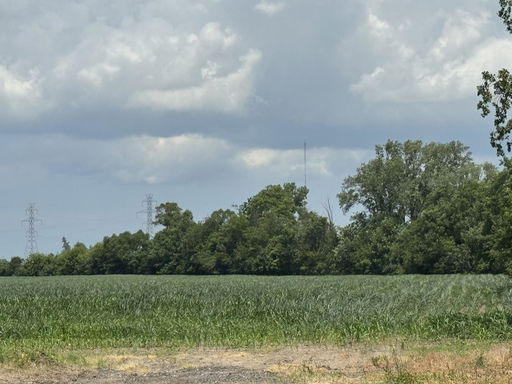 Media Image 3