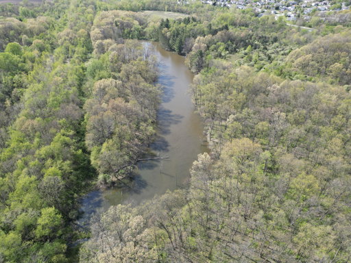 Media Image 3