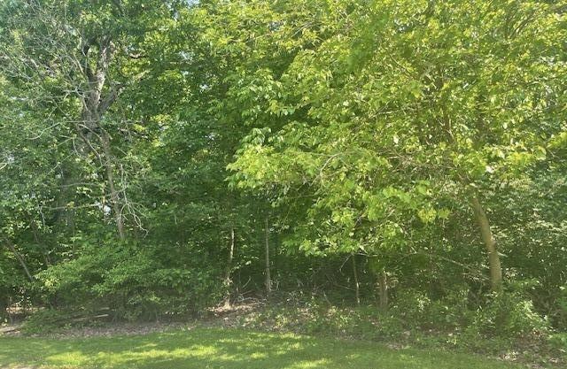 106 W 133Rd Ave, Cedar Lake, IN 46303