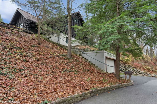Media Image 2