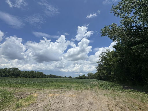 Media Image 2