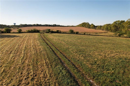 Media Image 3