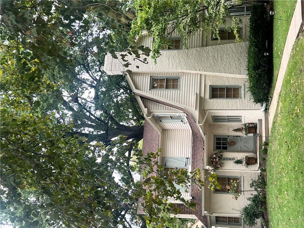 Media Image 1