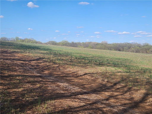 Media Image 3